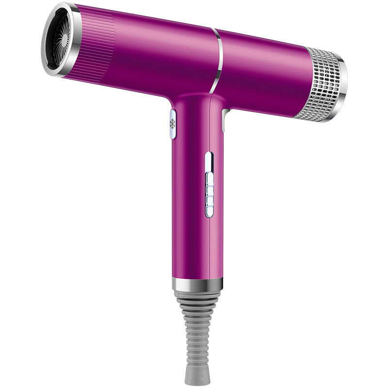 Ultra-Fast Smart Ionic Hair Dryer