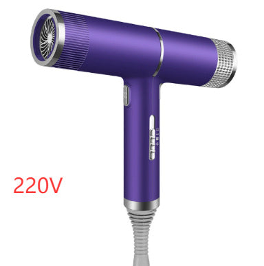 Ultra-Fast Smart Ionic Hair Dryer